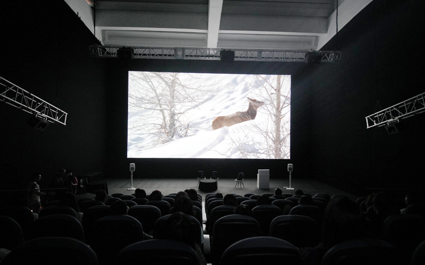 1576072807.png 1576072807.png