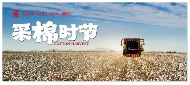 1686118077.png image.png