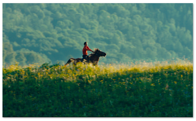 1698153079.png image.png