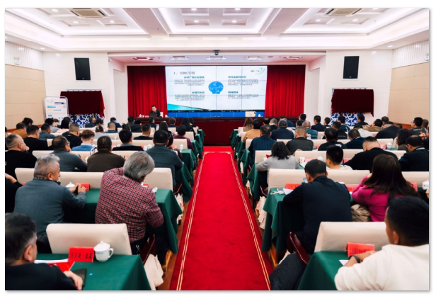 1735090065.png image.png