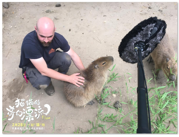 1739947261.png image.png